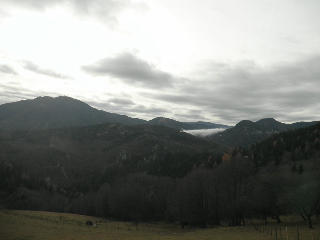PC040022.JPG