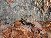 PC040010.JPG