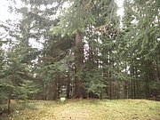 PC040029.JPG