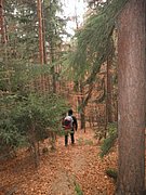 PC040050.JPG