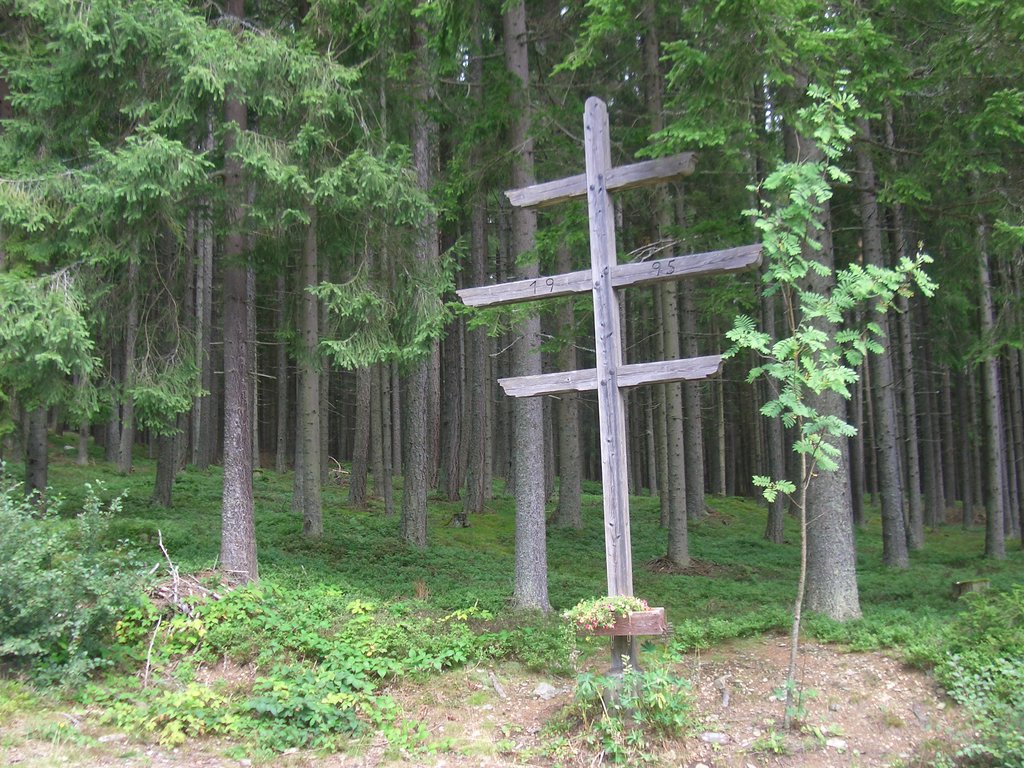 CIMG1614.JPG
