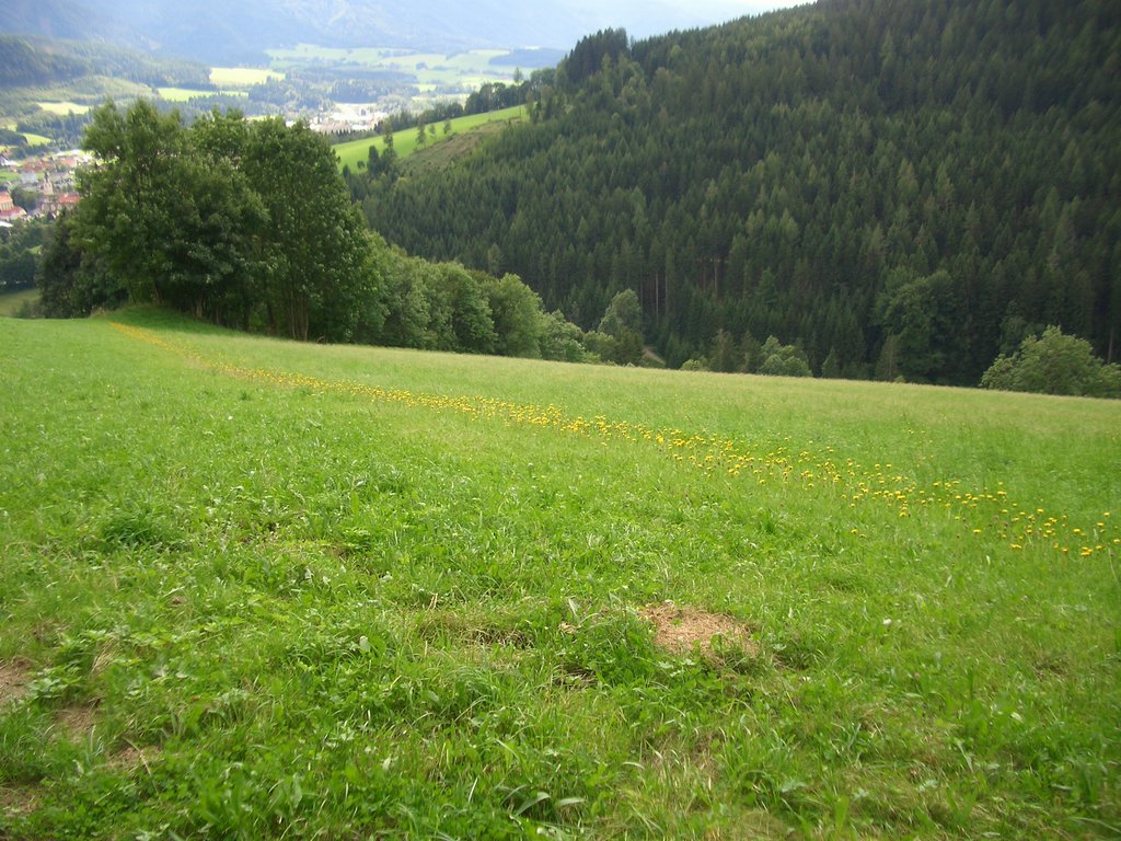 CIMG1622.JPG