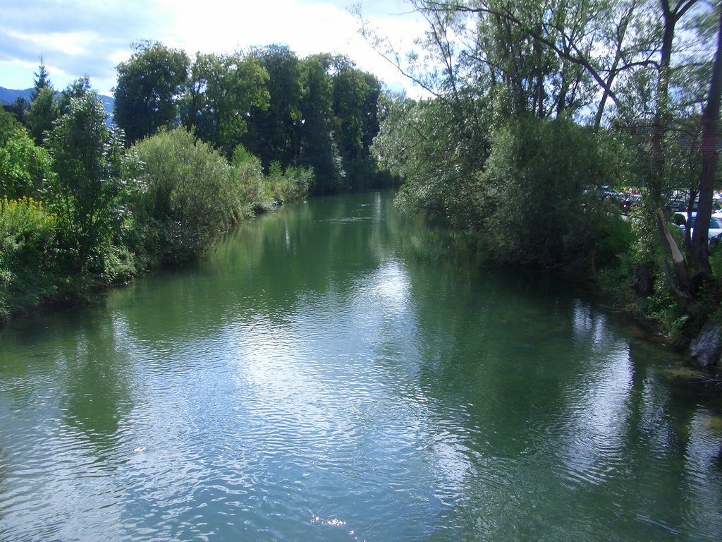 CIMG1630.JPG