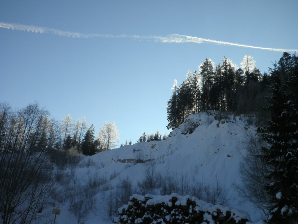 PC190005.JPG