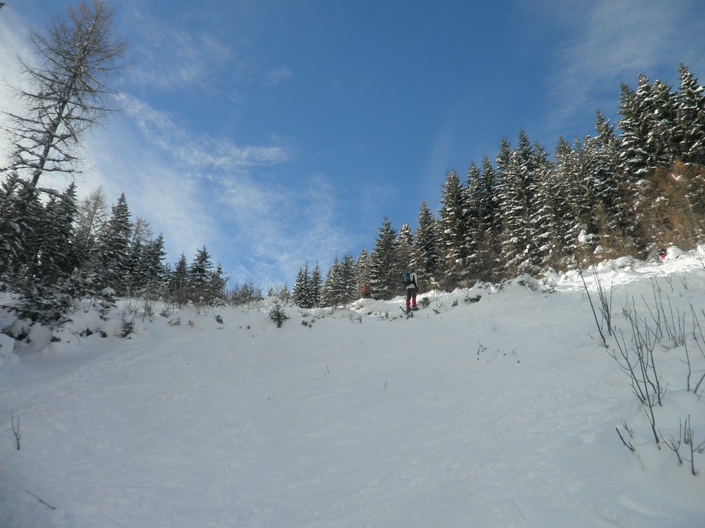 PC190014.JPG