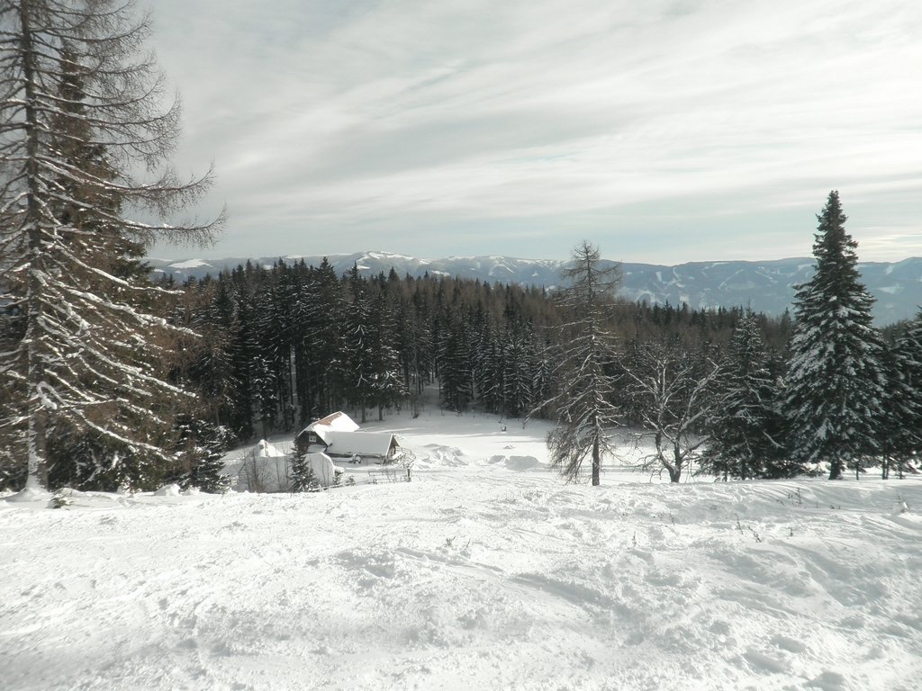 PC190024.JPG