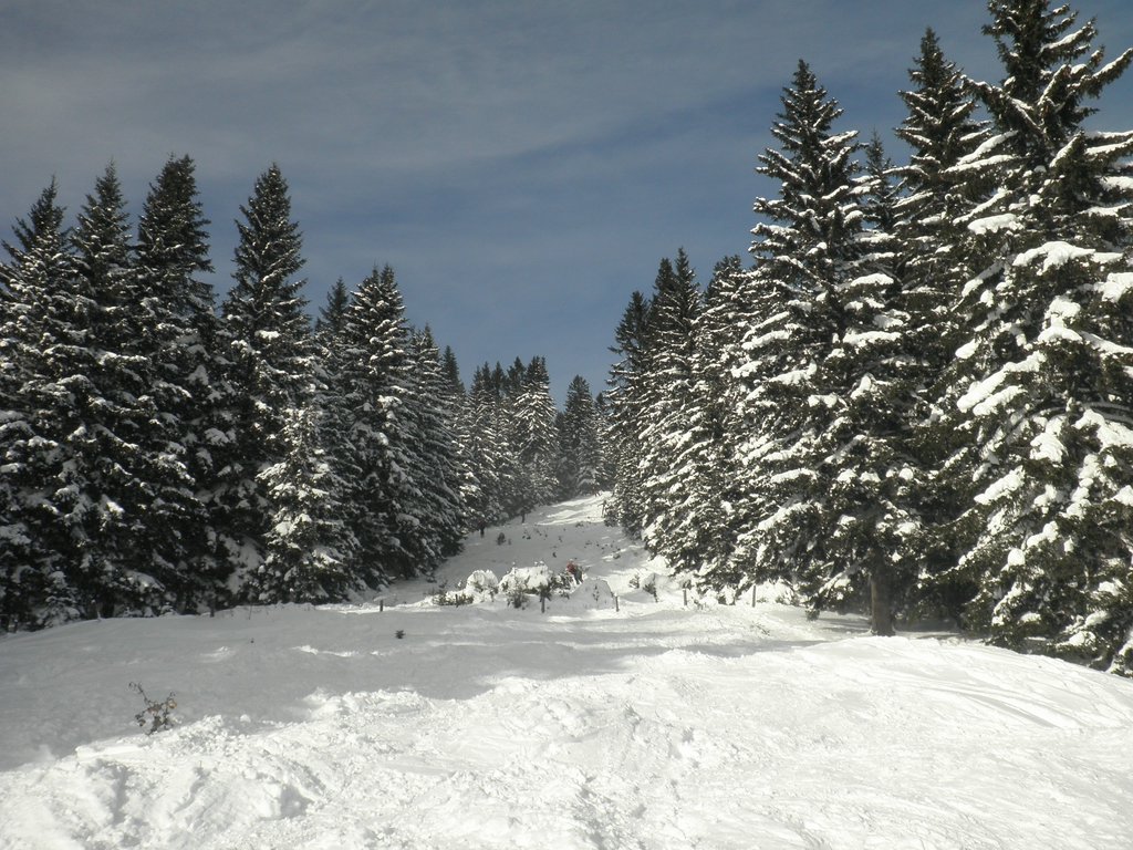 PC190025.JPG