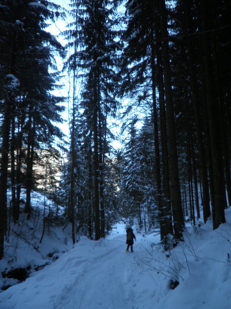 PC190032.JPG
