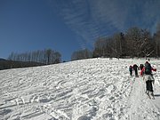 PC190008.JPG