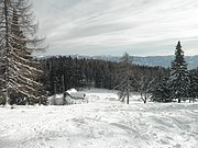PC190024.JPG