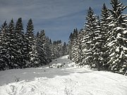 PC190025.JPG