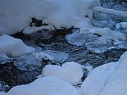 PC190031.JPG