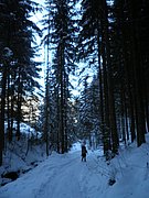 PC190032.JPG