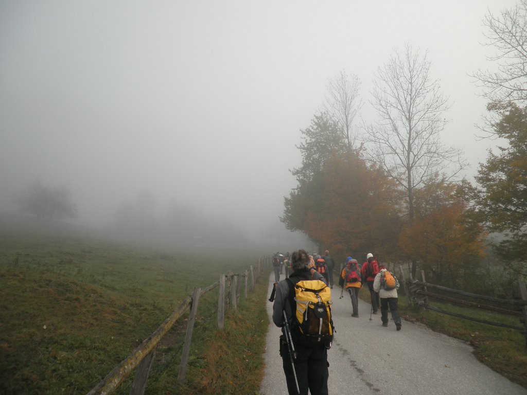 PB080006.JPG
