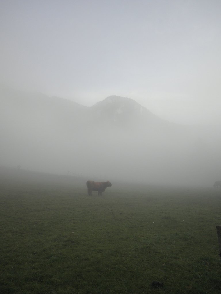 PB080010.JPG