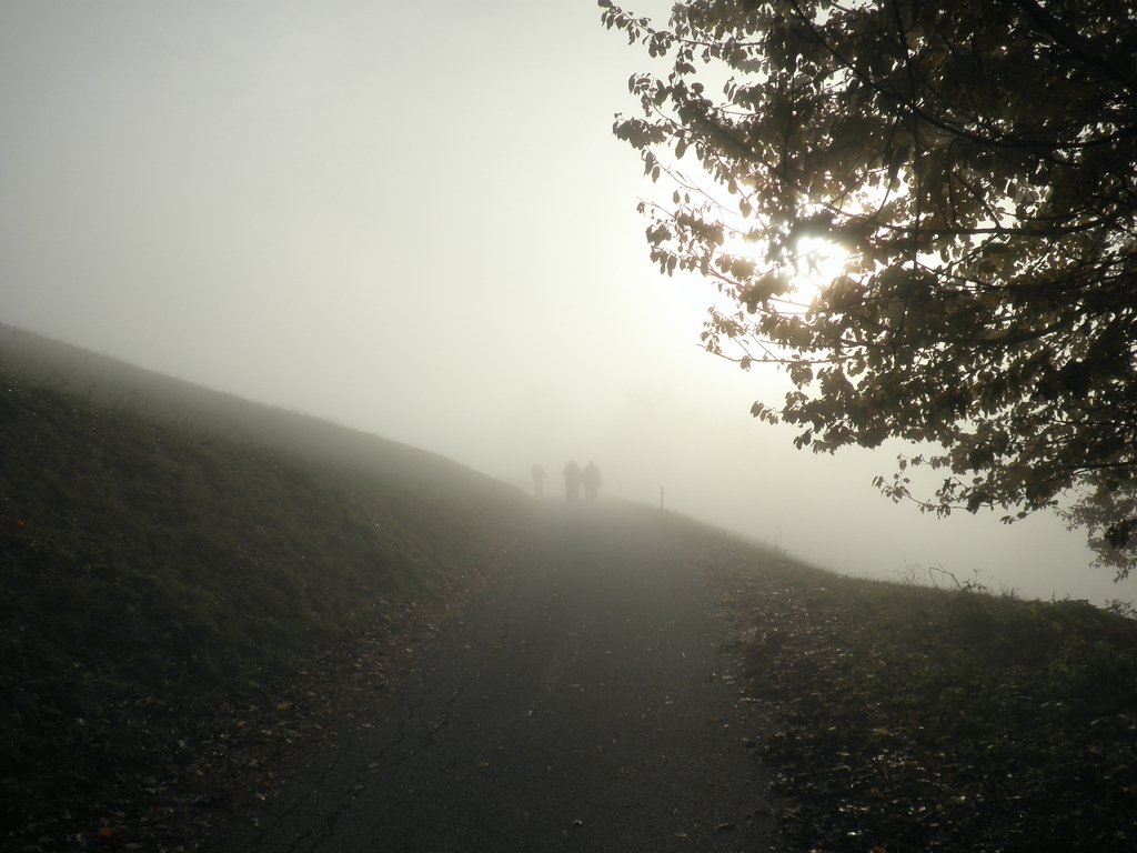 PB080014.JPG