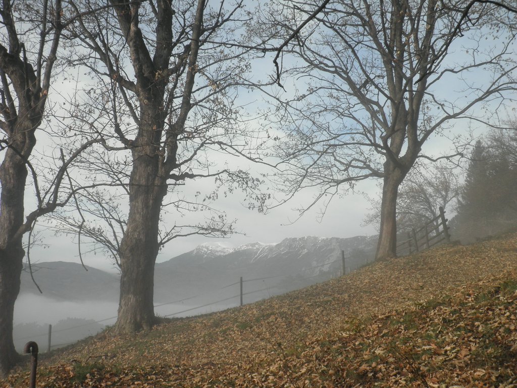 PB080016.JPG