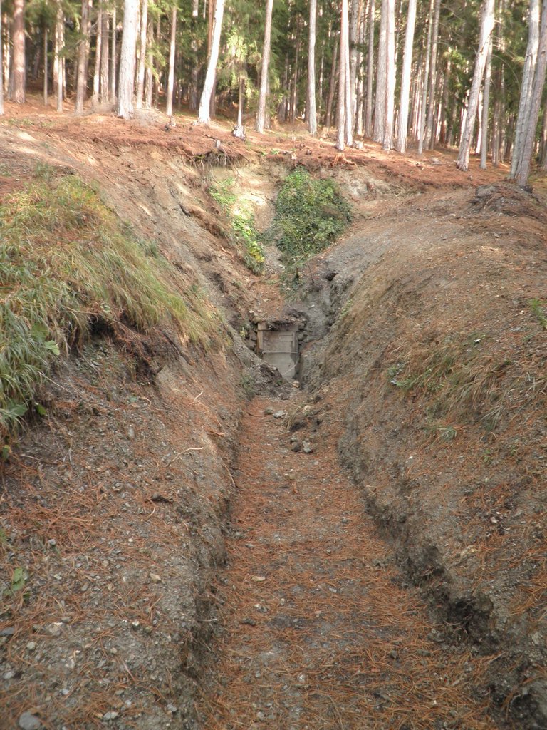 PB080017.JPG