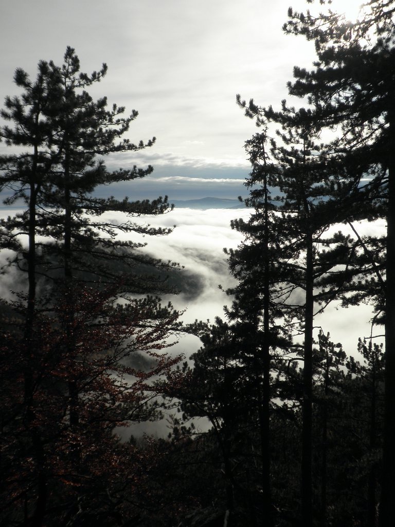 PB080020.JPG