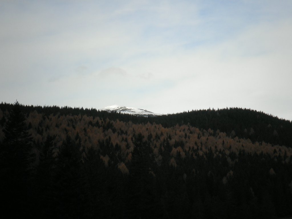 PB080032.JPG
