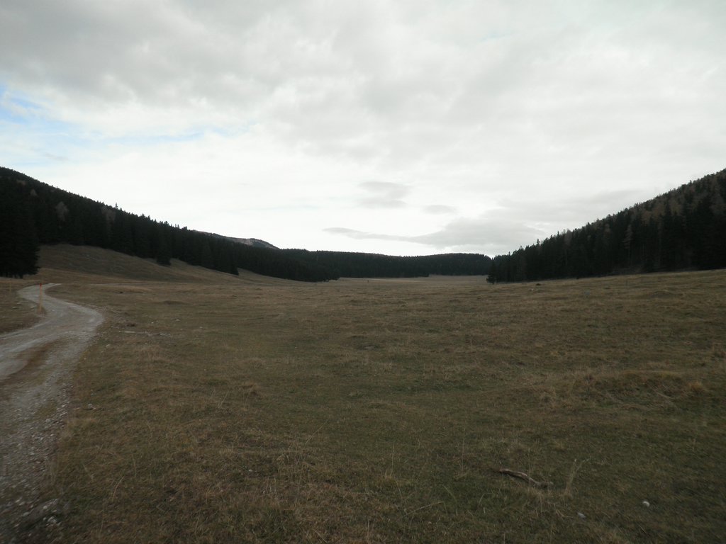 PB080033.JPG