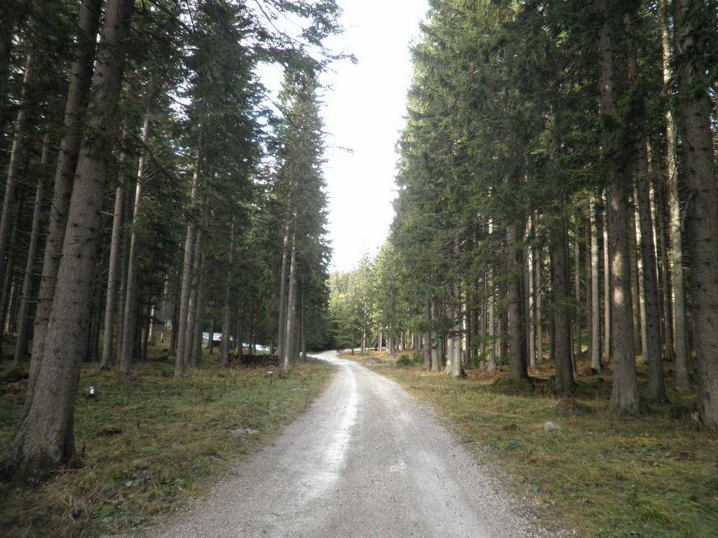 PB080038.JPG