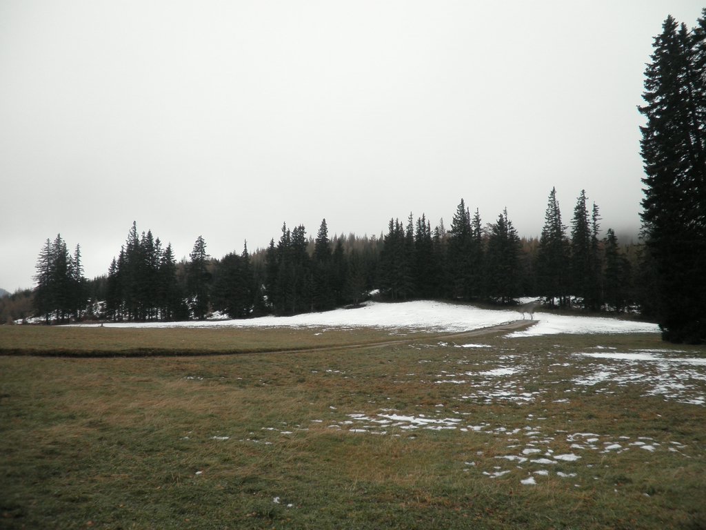 PB080049.JPG