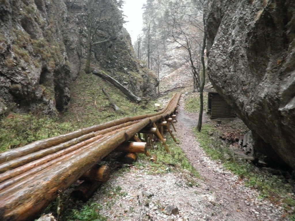 PB080071.JPG