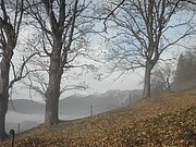 PB080016.JPG