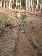 PB080017.JPG