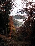 PB080019.JPG