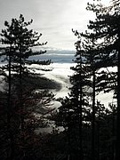 PB080020.JPG
