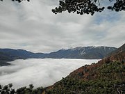 PB080024.JPG