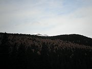 PB080032.JPG