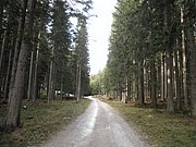 PB080038.JPG