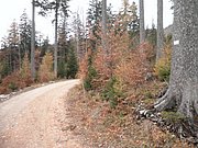 PB080043.JPG