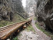 PB080071.JPG