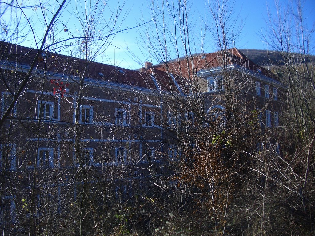 CIMG3075.JPG