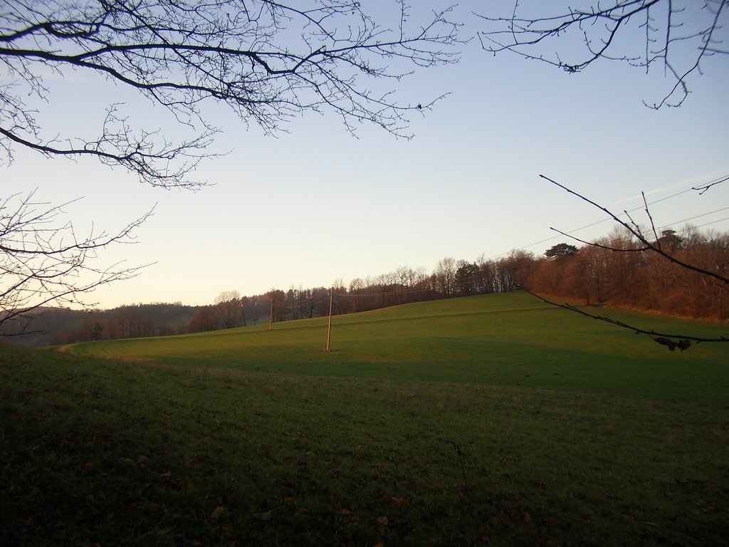 CIMG3138.JPG