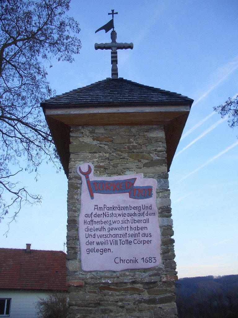 CIMG3146.JPG