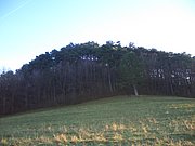 CIMG3116.JPG