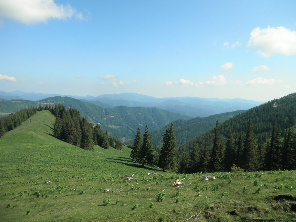 P5290023.JPG