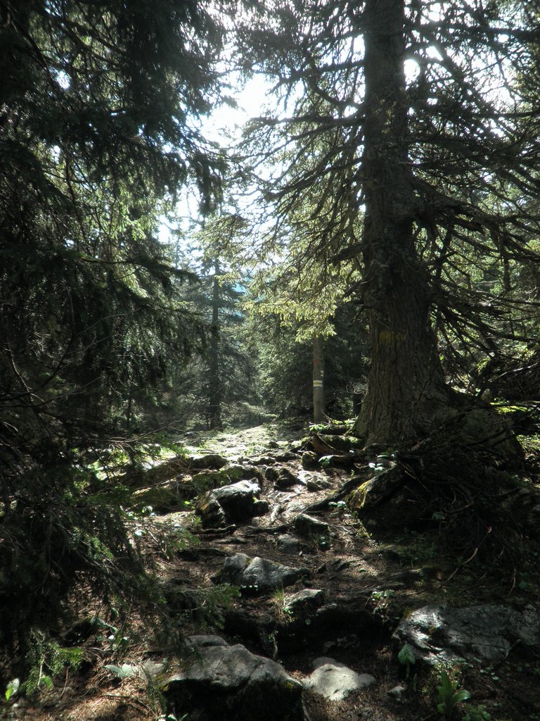 P5290030.JPG
