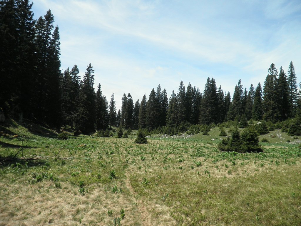 P5290041.JPG