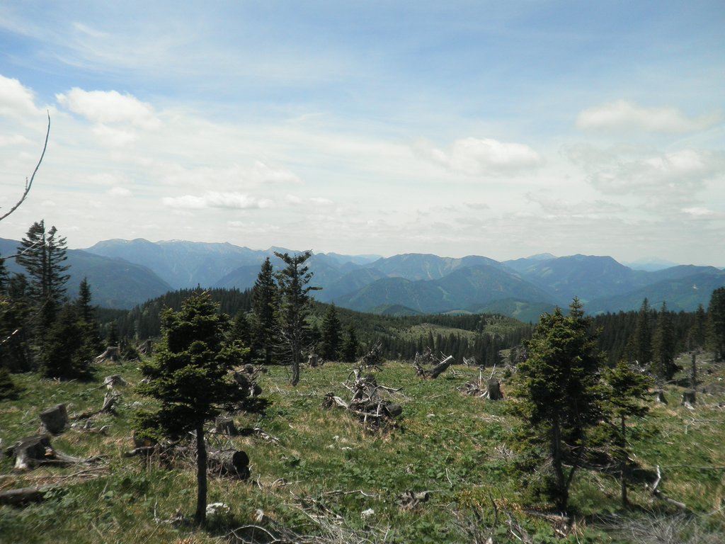 P5290043.JPG