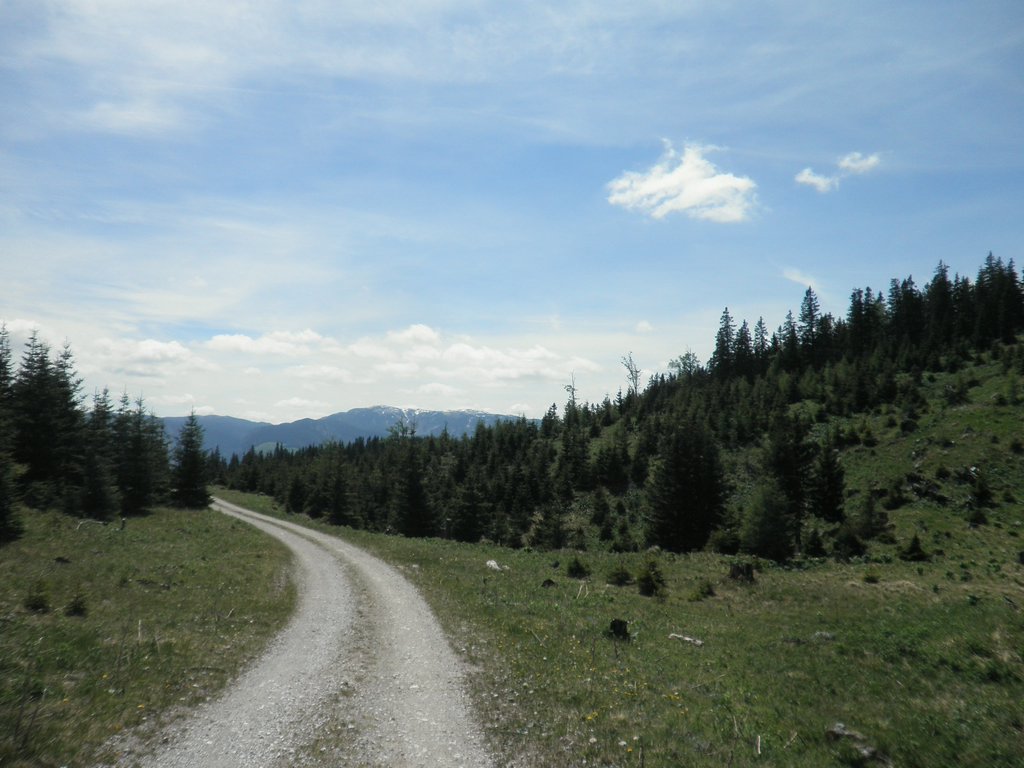 P5290050.JPG