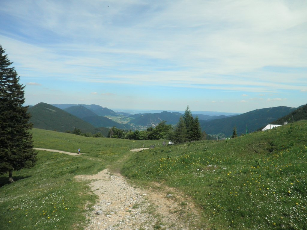 P5290060.JPG