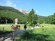 P5290012.JPG