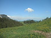 P5290020.JPG