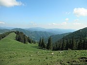 P5290023.JPG